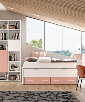 Dormitorio juvenil 25